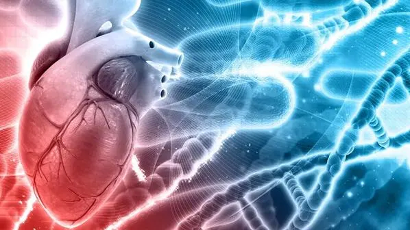 Cardiology Information System (CIS) Market