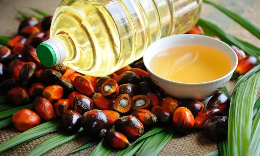 Palm Oil Market