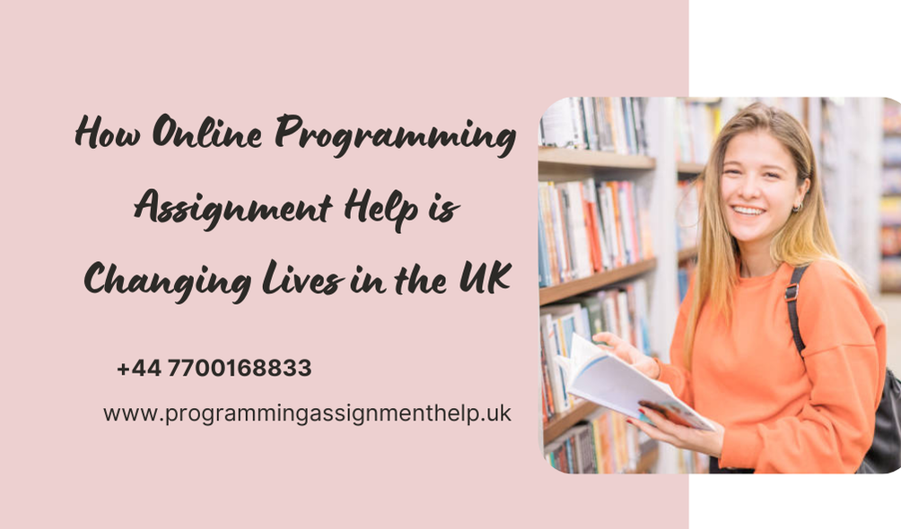 Programming Assignment Help