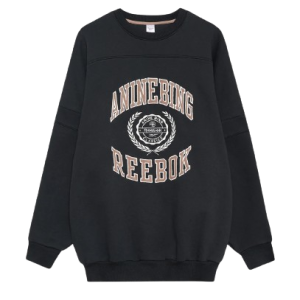 Anine Bing sweatshirt