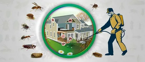 pest control lahore, pest control near me