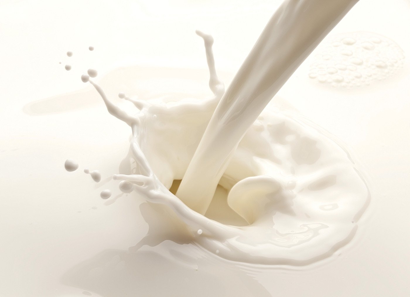 Navigating the Local Milk Factory: Where to Find Quality Dairy Suppliers Near You